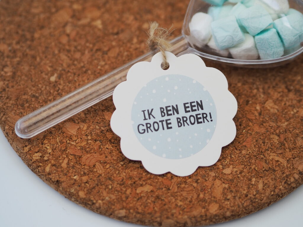 Een sluitsticker voor de geboorte van een broertje of zusje. Leuk om te trakteren op de kinderopvang, peuterspeelzaal, BSO of school.