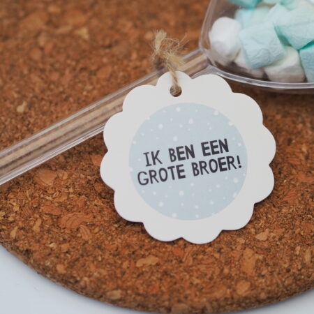 Een sluitsticker voor de geboorte van een broertje of zusje. Leuk om te trakteren op de kinderopvang, peuterspeelzaal, BSO of school.