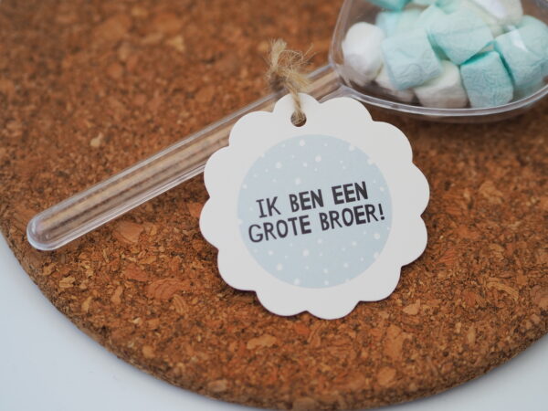 Een sluitsticker voor de geboorte van een broertje of zusje. Leuk om te trakteren op de kinderopvang, peuterspeelzaal, BSO of school.